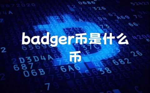 badger币是什么币