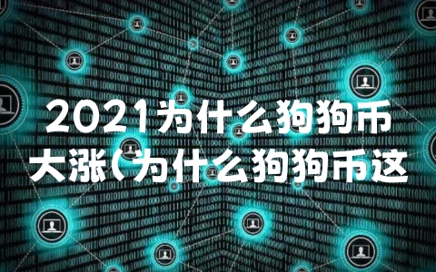 2021为什么狗狗币大涨（为什么狗狗币这么火）